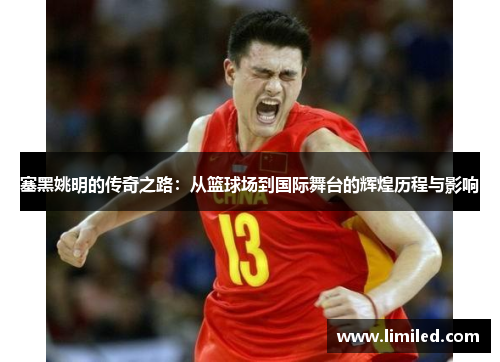 塞黑姚明的传奇之路：从篮球场到国际舞台的辉煌历程与影响