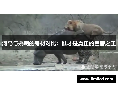 河马与姚明的身材对比：谁才是真正的巨兽之王